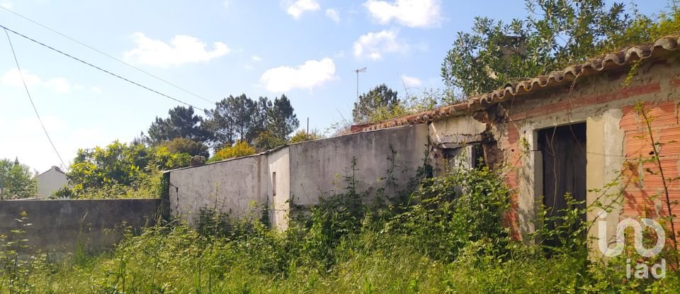 Terrain à bâtir à Rogil de 70 920 m²