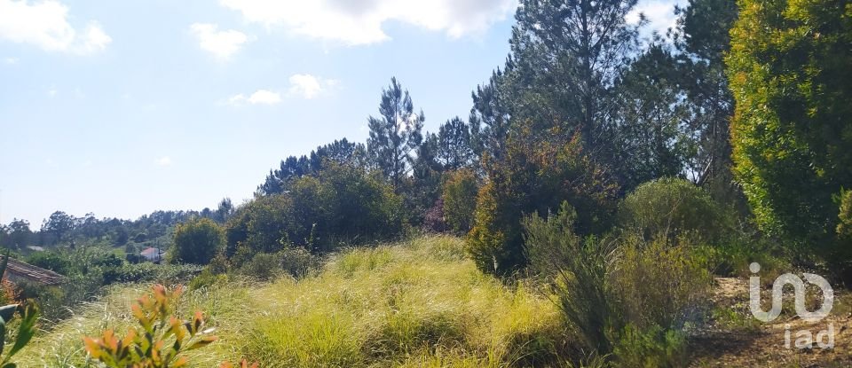 Terrain à bâtir à Rogil de 70 920 m²