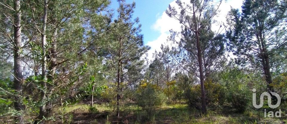 Terrain à bâtir à Rogil de 70 920 m²