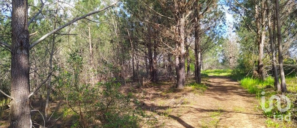 Terrain à bâtir à Rogil de 70 920 m²