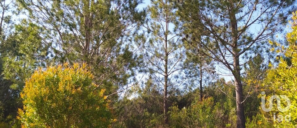 Terrain à bâtir à Rogil de 70 920 m²