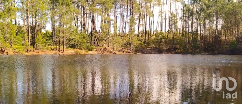 Terrain à bâtir à Rogil de 70 920 m²