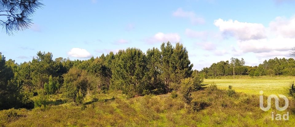 Terrain à bâtir à Rogil de 70 920 m²