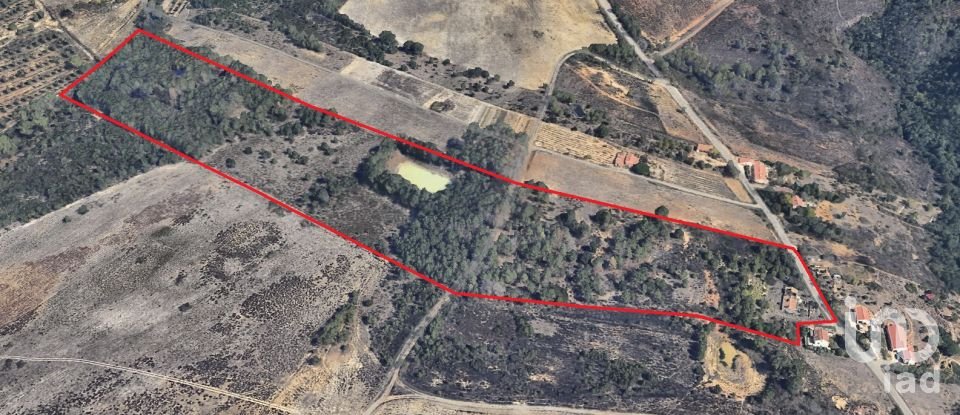 Terrain à bâtir à Rogil de 70 920 m²