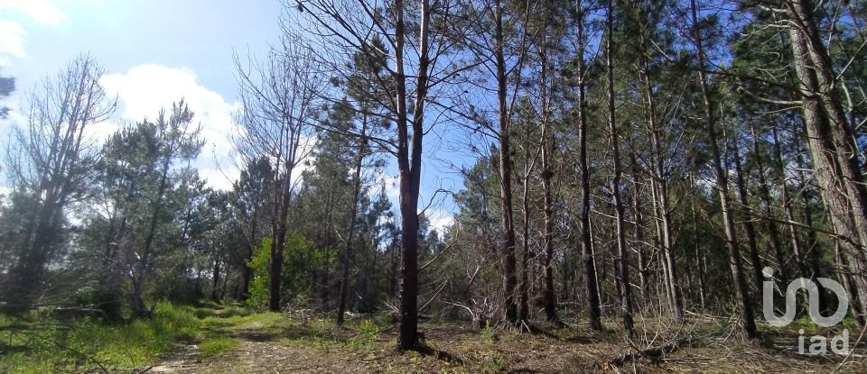 Terrain à bâtir à Rogil de 70 920 m²