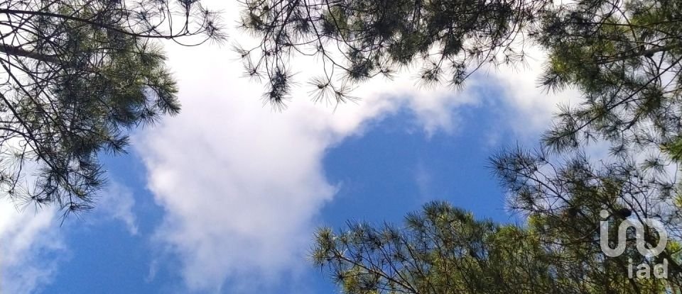 Terrain à bâtir à Rogil de 70 920 m²