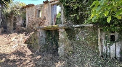 House T0 in São Miguel, Santa Eufémia e Rabaçal of 144 m²