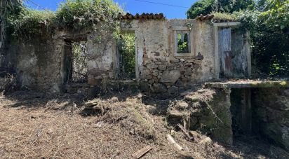 House T0 in São Miguel, Santa Eufémia e Rabaçal of 144 m²