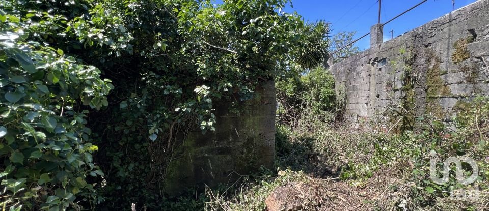 Moradia T0 em São Miguel, Santa Eufémia e Rabaçal de 144 m²