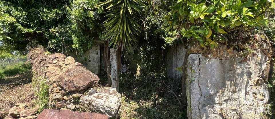 Moradia T0 em São Miguel, Santa Eufémia e Rabaçal de 144 m²