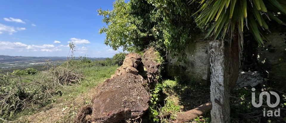 Moradia T0 em São Miguel, Santa Eufémia e Rabaçal de 144 m²