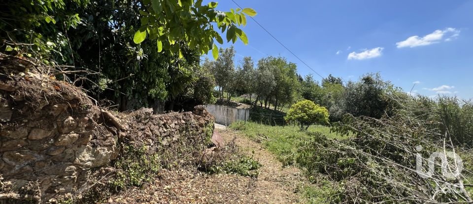 Moradia T0 em São Miguel, Santa Eufémia e Rabaçal de 144 m²