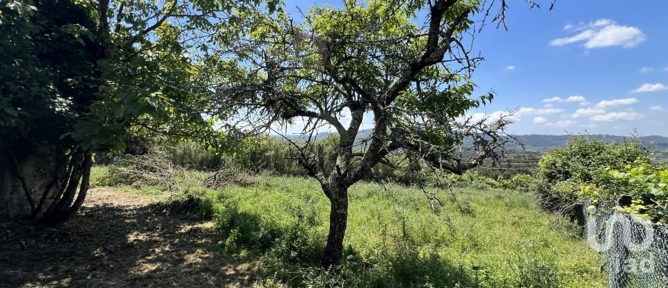 Moradia T0 em São Miguel, Santa Eufémia e Rabaçal de 144 m²