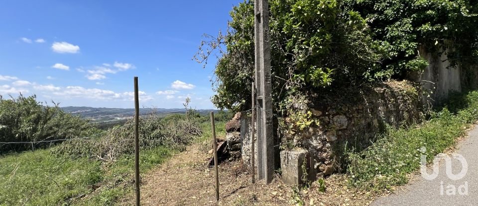 Moradia T0 em São Miguel, Santa Eufémia e Rabaçal de 144 m²