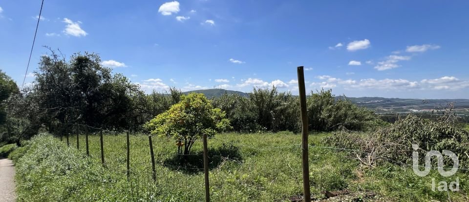 Moradia T0 em São Miguel, Santa Eufémia e Rabaçal de 144 m²