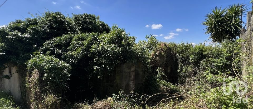 Moradia T0 em São Miguel, Santa Eufémia e Rabaçal de 144 m²