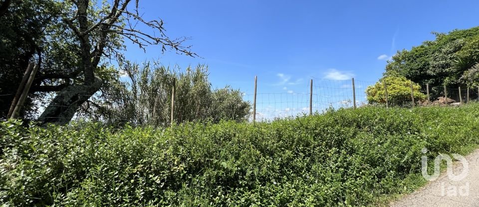 Moradia T0 em São Miguel, Santa Eufémia e Rabaçal de 144 m²