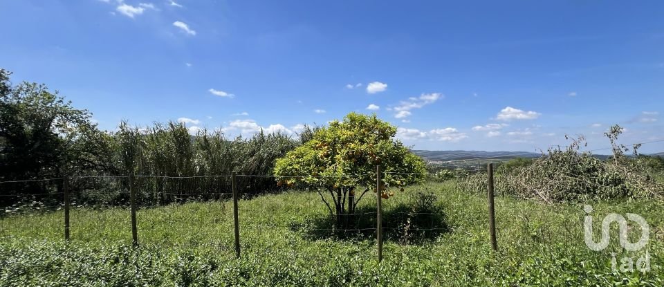 Moradia T0 em São Miguel, Santa Eufémia e Rabaçal de 144 m²