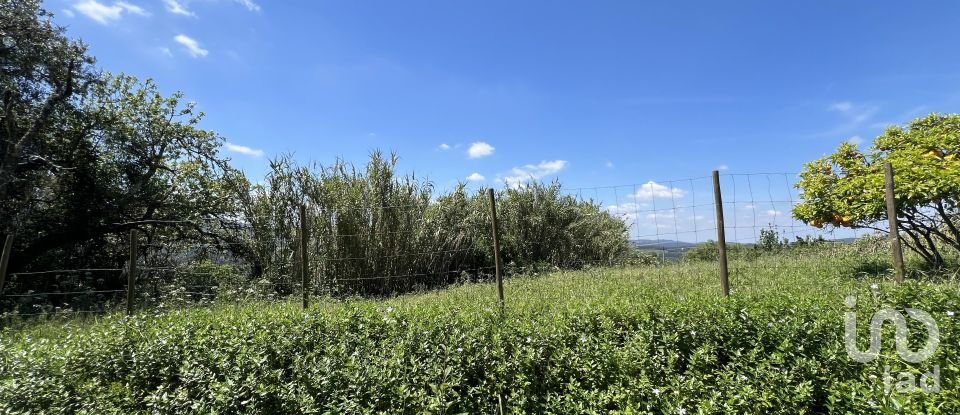 Moradia T0 em São Miguel, Santa Eufémia e Rabaçal de 144 m²