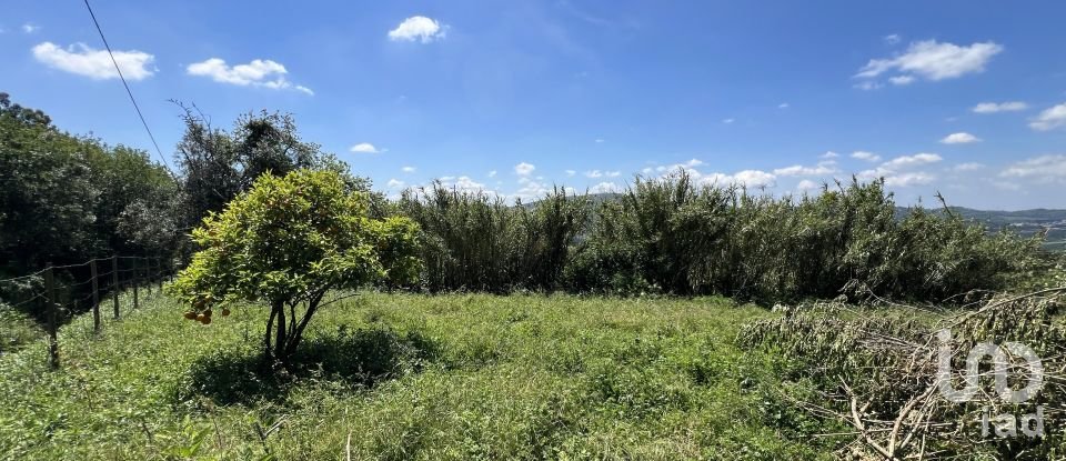 Moradia T0 em São Miguel, Santa Eufémia e Rabaçal de 144 m²