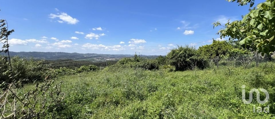 Moradia T0 em São Miguel, Santa Eufémia e Rabaçal de 144 m²