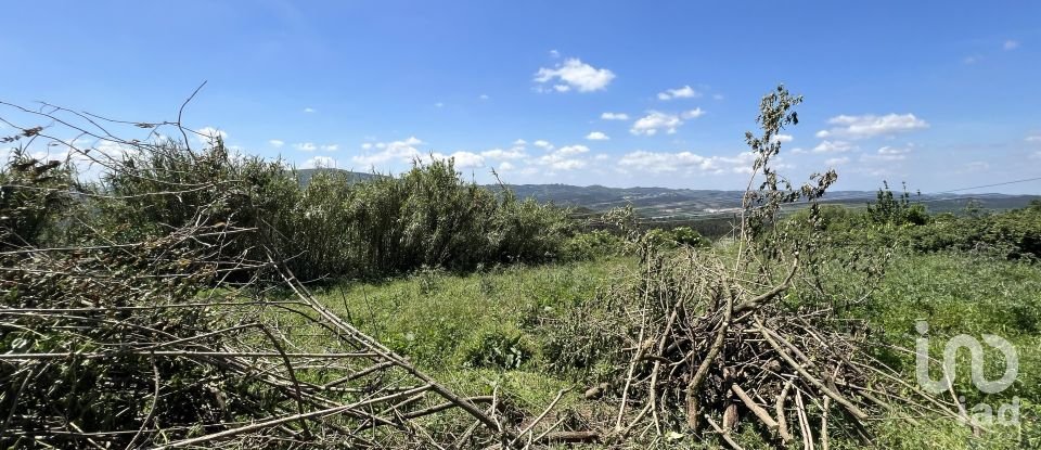 Moradia T0 em São Miguel, Santa Eufémia e Rabaçal de 144 m²