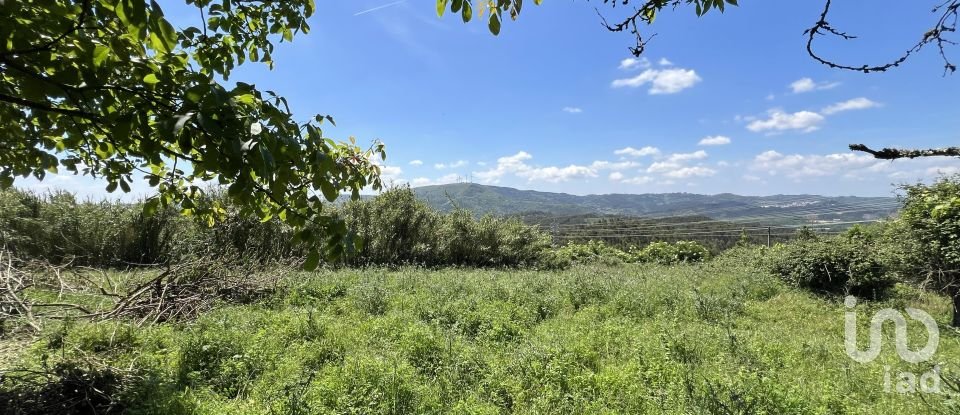 Moradia T0 em São Miguel, Santa Eufémia e Rabaçal de 144 m²