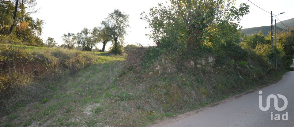 Terrain à bâtir à São Miguel, Santa Eufémia e Rabaçal de 1 313 m²