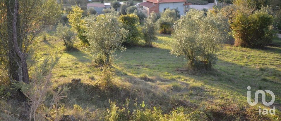 Terrain à bâtir à São Miguel, Santa Eufémia e Rabaçal de 1 313 m²