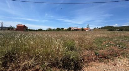 Land in Silves of 9,360 m²
