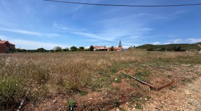 Terrain à Silves de 9 360 m²
