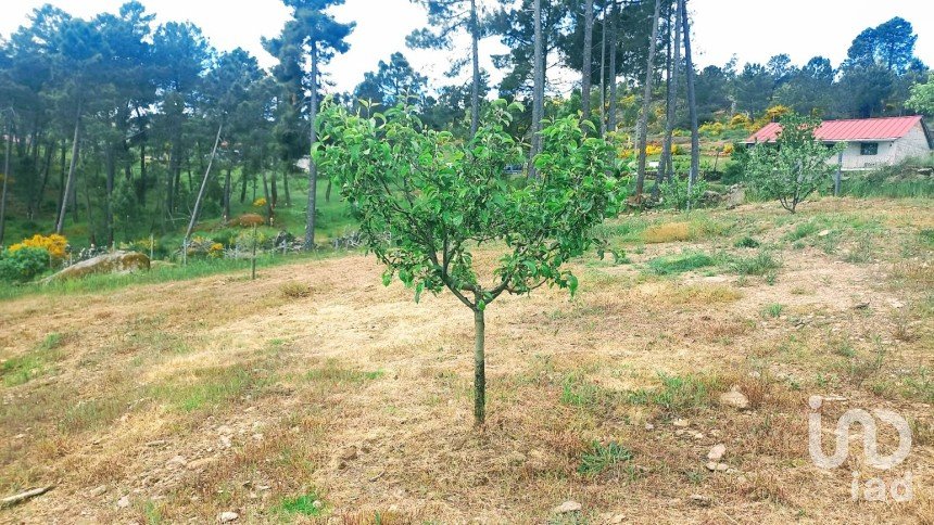 Land in São Lourenço de Ribapinhão of 14,250 m²