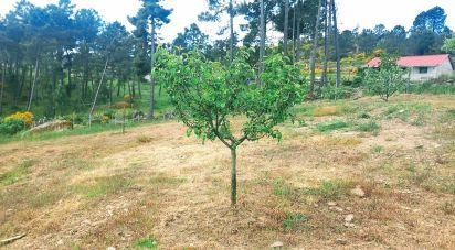 Terrain à São Lourenço de Ribapinhão de 14 250 m²