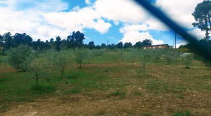 Terrain à São Lourenço de Ribapinhão de 14 250 m²