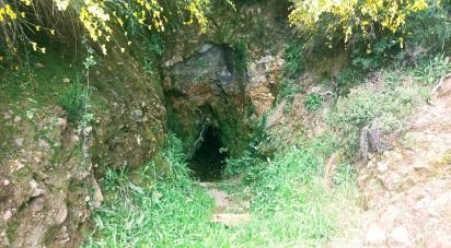 Terrain à São Lourenço de Ribapinhão de 14 250 m²