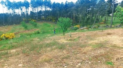 Terrain à São Lourenço de Ribapinhão de 14 250 m²