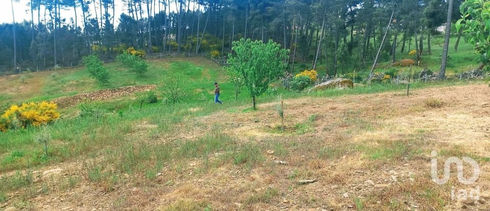 Land in São Lourenço de Ribapinhão of 14,250 m²