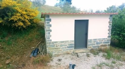 Terrain à São Lourenço de Ribapinhão de 14 250 m²