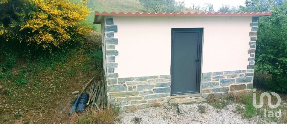 Land in São Lourenço de Ribapinhão of 14,250 m²