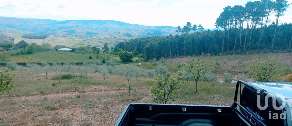 Land in São Lourenço de Ribapinhão of 14,250 m²