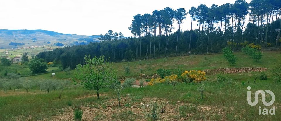 Land in São Lourenço de Ribapinhão of 14,250 m²