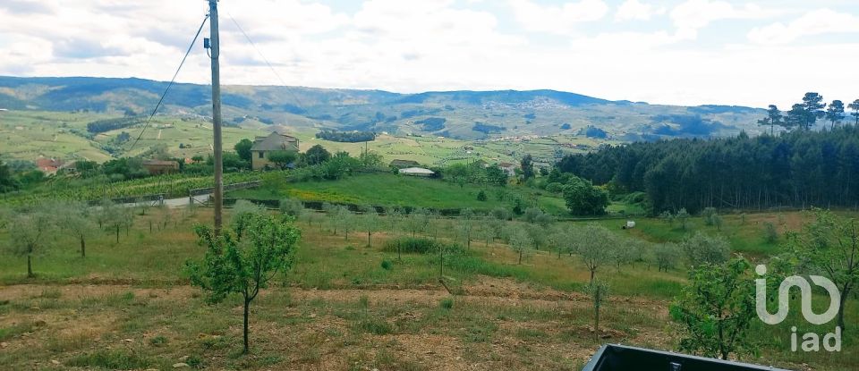 Land in São Lourenço de Ribapinhão of 14,250 m²