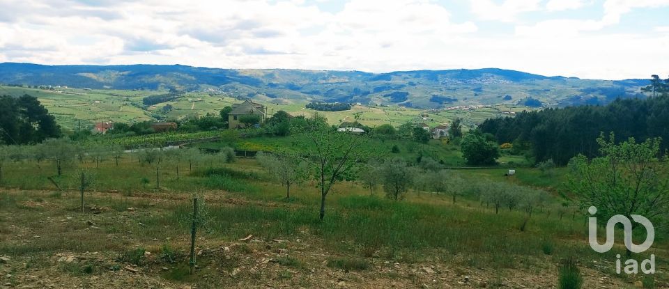 Land in São Lourenço de Ribapinhão of 14,250 m²