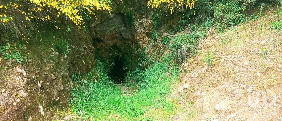 Land in São Lourenço de Ribapinhão of 14,250 m²