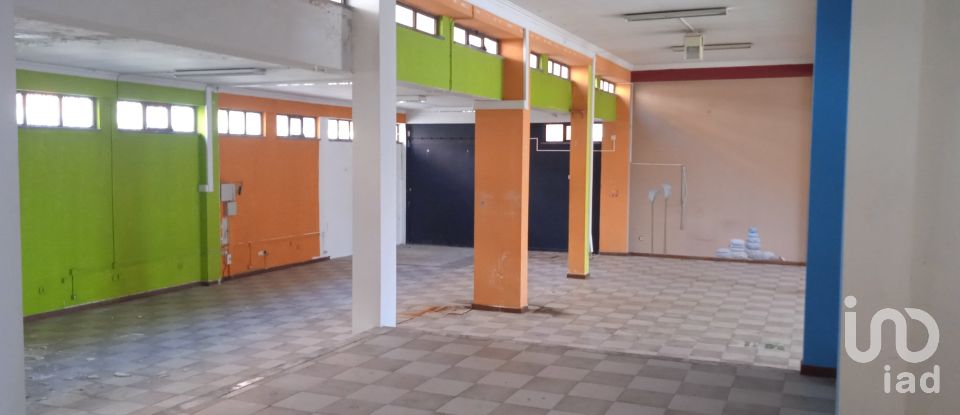 Loja / Estabelecimento Comercial em Nelas de 345 m²