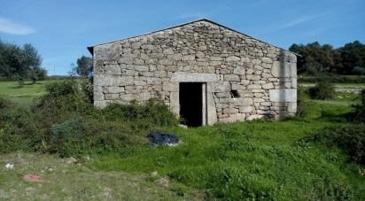 Terrain agricole à Peraboa de 130 000 m²