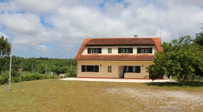 Maison T5 à Famalicão de 415 m²