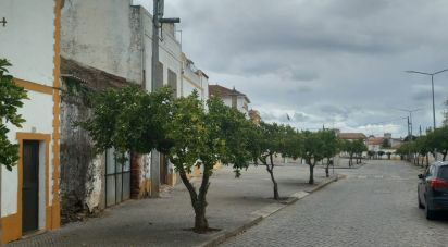 Maison de village T0 à Alter do Chão de 69 m²