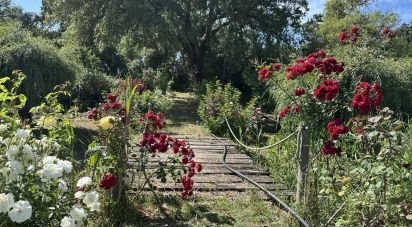 Terrain à Arneiro das Milhariças de 3 640 m²