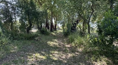 Terrain à Arneiro das Milhariças de 3 640 m²